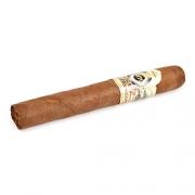  Ashton ESG 23 Year Salute