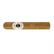  Ashton Classic Series Magnum Robusto