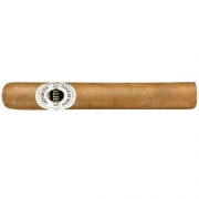  Ashton Classic Majesty Gigante Toro