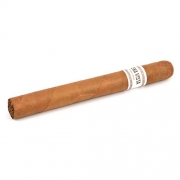  Buena Vista Araperique Churchill