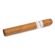  Buena Vista Araperique Toro