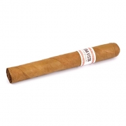  Buena Vista Dark Fired Kentucky Toro