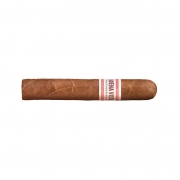 Buena Vista Dark Fired Kentucky Robusto