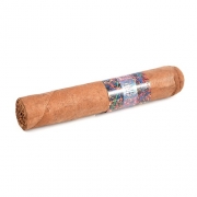  La Instructora Perfection Short Robusto