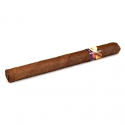  Tatiana Classic Groovy Blue