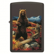  Zippo - 48597 Linda Picken